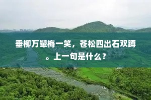 垂柳万颦梅一笑，苍松四出石双蹲。上一句是什么？