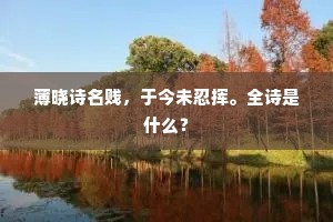 薄晓诗名贱，于今未忍挥。全诗是什么？