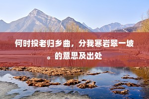 何时投老归乡曲，分我寒岩翠一坡。的意思及出处
