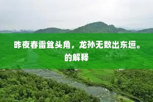 昨夜春雷耸头角，龙孙无数出东垣。的解释