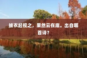 披衣起视之，果然云在底。出自哪首诗？