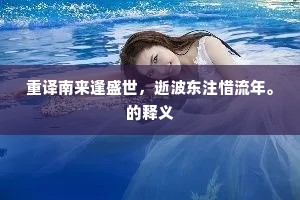重译南来逢盛世，逝波东注惜流年。的释义