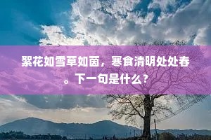 絮花如雪草如茵，寒食清明处处春。下一句是什么？