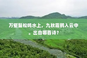 万壑鬣松鸣水上，九秋霜鹘入云中。出自哪首诗？