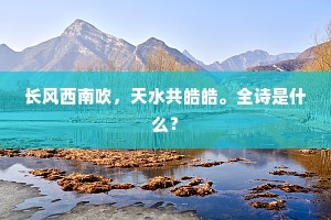 长风西南吹，天水共皓皓。全诗是什么？