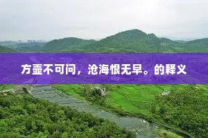 方壶不可问，沧海恨无早。的释义