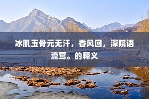 冰肌玉骨元无汗，香风回，深院语流莺。的释义