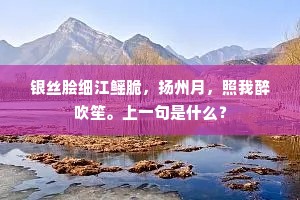 银丝脍细江鳐脆，扬州月，照我醉吹笙。上一句是什么？