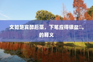 文如楚宾醉后藁，下笔应得银盆㪺。的释义