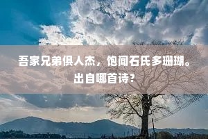 吾家兄弟俱人杰，饱闻石氏多珊瑚。出自哪首诗？