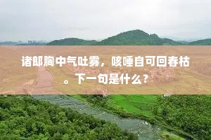 诸郎胸中气吐雾，咳唾自可回春枯。下一句是什么？