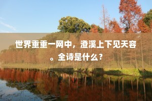 世界重重一网中，澄溪上下见天容。全诗是什么？