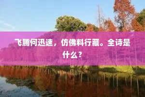 飞腾何迅速,仿佛料行藏。全诗是什么? 飞腾何迅速,仿佛料行藏。全诗是什么?