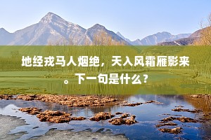 地经戎马人烟绝，天入风霜雁影来。下一句是什么？
