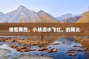 啼莺舞燕，小桥流水飞红。的释义