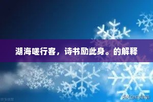 湖海嗟行客，诗书励此身。的解释