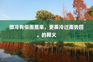 微冷有似雨意来，更畏冷过雨势回。的释义