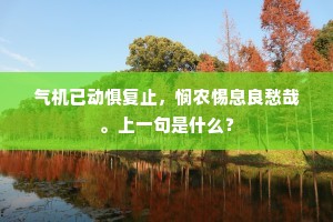 气机已动惧复止，悯农惕息良愁哉。上一句是什么？