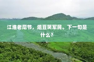 江淮老麾节，俎豆哭军民。下一句是什么？