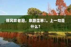 朔风吹老泪，泉路湿寒燐。上一句是什么？
