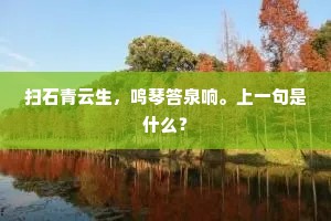 扫石青云生，鸣琴答泉响。上一句是什么？