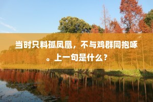 当时只料孤凤凰，不与鸡群同抱啄。上一句是什么？