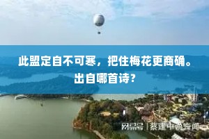 此盟定自不可寒，把住梅花更商确。出自哪首诗？