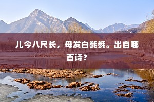 儿今八尺长，母发白毵毵。出自哪首诗？
