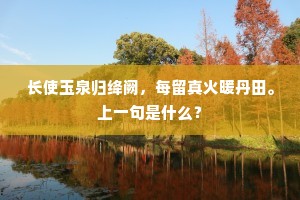 长使玉泉归绛阙，每留真火暖丹田。上一句是什么？