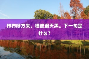 栉栉辫方来，横遮遍天黑。下一句是什么？