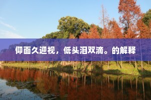 仰面久迎视，低头泪双滴。的解释