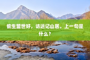 偷生盟世好，访远记山居。上一句是什么？
