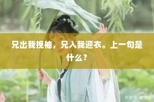 兄出我挽袖，兄入我迎衣。上一句是什么？
