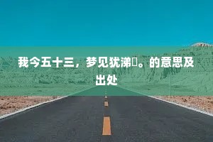 我今五十三，梦见犹涕洟。的意思及出处