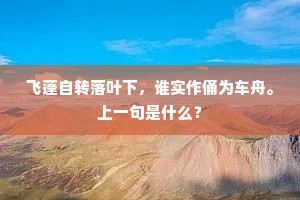 飞蓬自转落叶下，谁实作俑为车舟。上一句是什么？