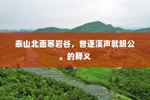 泰山北面寒岩谷，曾逐溪声就朗公。的释义