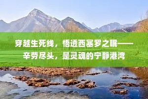 穿越生死线，悟透西塞罗之眠——辛劳尽头，是灵魂的宁静港湾