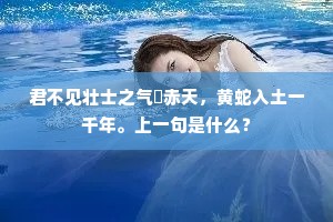 君不见壮士之气禦赤天，黄蛇入土一千年。上一句是什么？