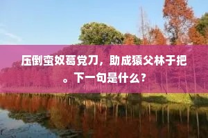 压倒蛮奴葛党刀，助成猿父林于把。下一句是什么？