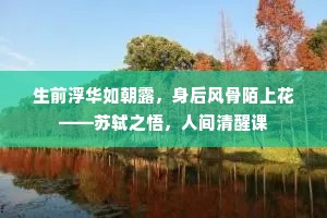 生前浮华如朝露，身后风骨陌上花——苏轼之悟，人间清醒课