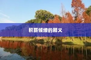 积薪候燎的释义