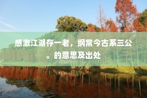 感激江湖存一老，纲常今古系三公。的意思及出处