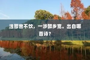 浊醪曾不饮，一涉醉乡宽。出自哪首诗？