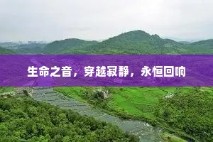 生命之音，穿越寂静，永恒回响