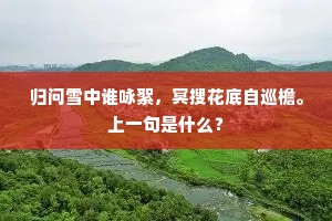 归问雪中谁咏絮，冥搜花底自巡檐。上一句是什么？