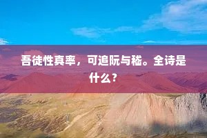 吾徒性真率，可追阮与嵇。全诗是什么？