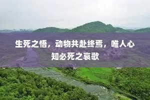 生死之悟，动物共赴终焉，唯人心知必死之哀歌