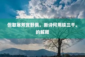 但取寒芳宜野佩，新诗何用牍三千。的解释