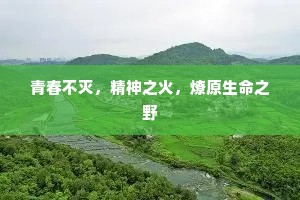 青春不灭，精神之火，燎原生命之野