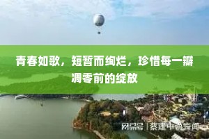 青春如歌，短暂而绚烂，珍惜每一瓣凋零前的绽放